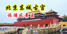 艹女生虐待调教下体流白水视频中国北京-东城古宫旅游风景区